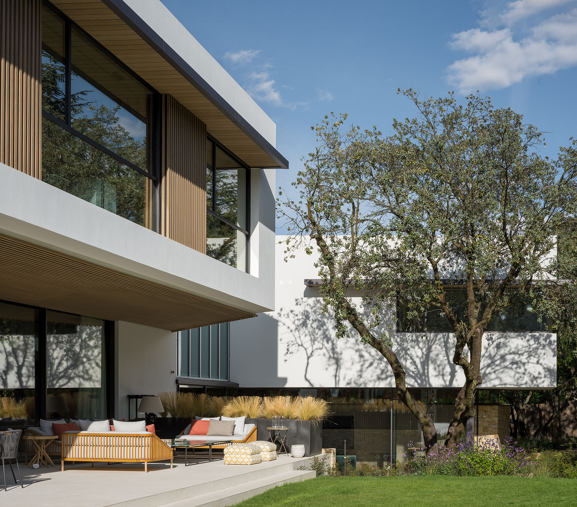 Oak Tree Projects a house around a holm oak tree: project by mariano molina estudio de ...