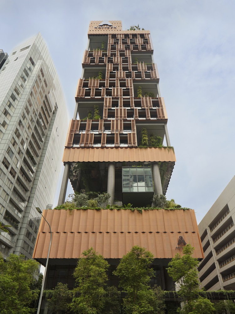 elevating tradition through verticality and tropical elegance