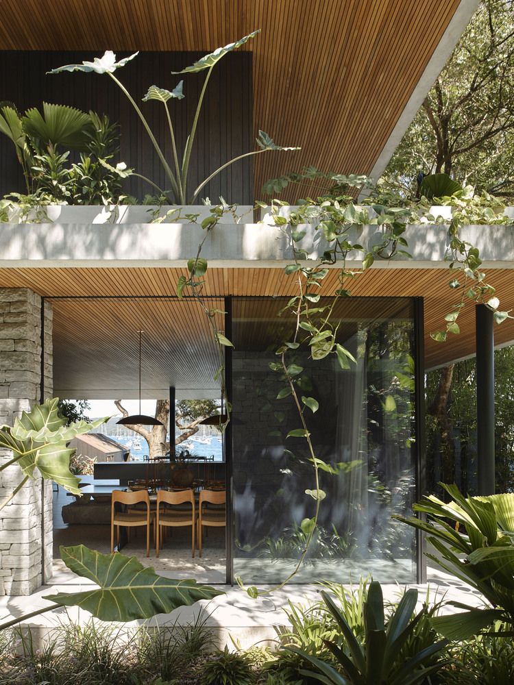 m house generates brazilian modernist spirit in clareville: project by ...